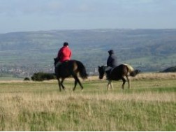 90. Horse riding in the Cotswolds
